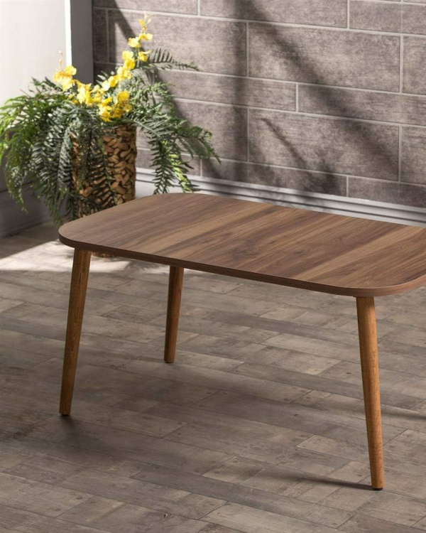 Scandinavian Style Rectangular Wooden Coffee Table (Walnut Color) - Image 2